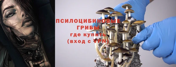 крисы Алзамай