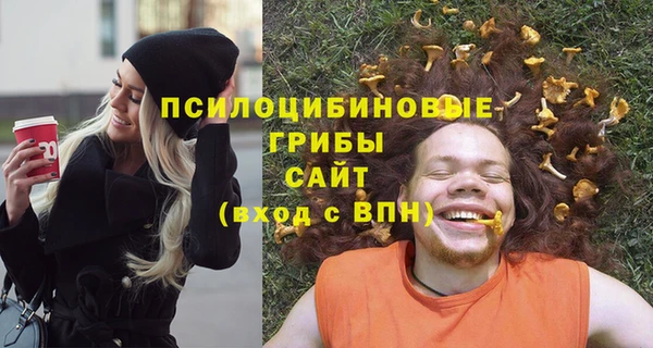 крисы Алзамай