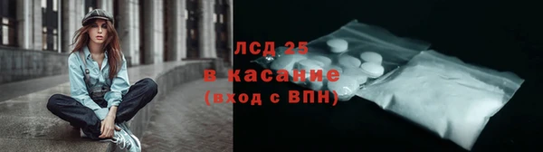 крисы Алзамай