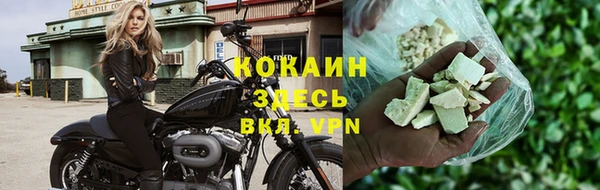 крисы Алзамай