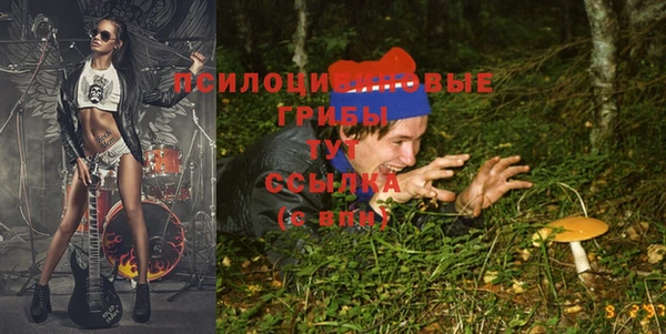 крисы Алзамай