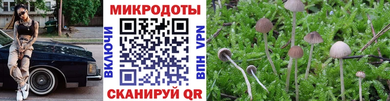 Псилоцибиновые грибы Psilocybe  как найти закладки  Ступино 